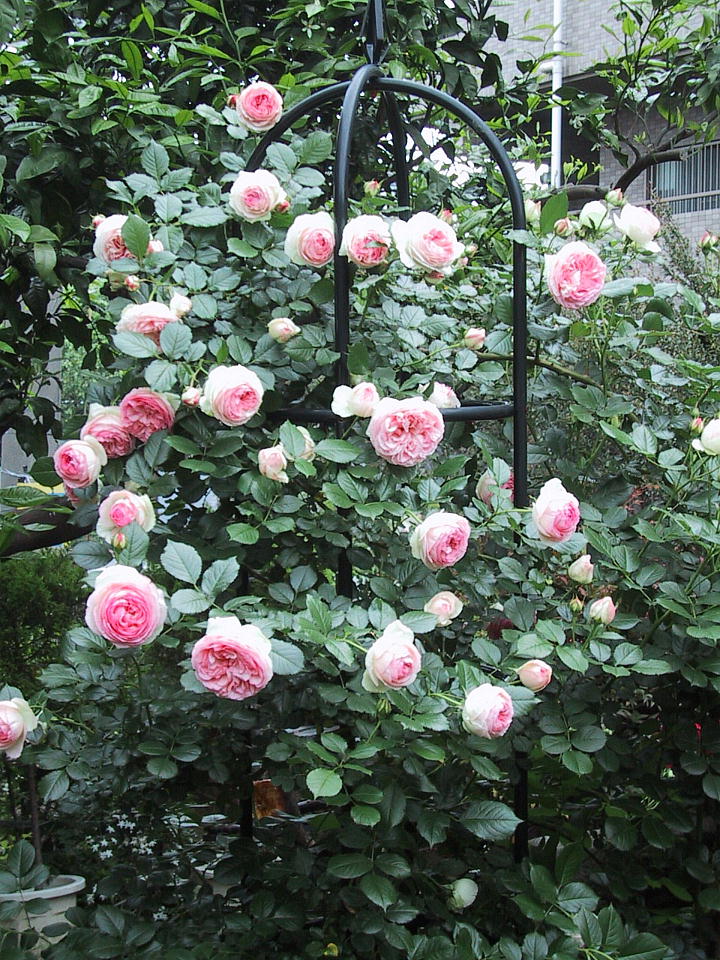 d0166303_030358.jpg