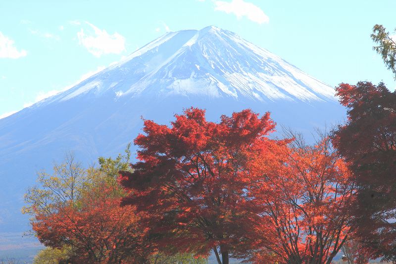 a0188405_1329236.jpg