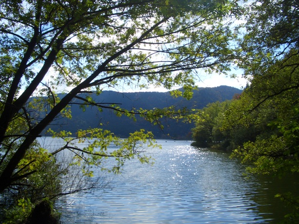 e0033713_16525415.jpg