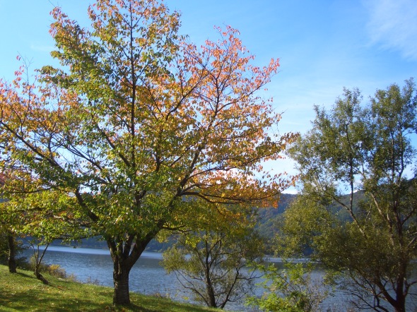e0033713_17092913.jpg