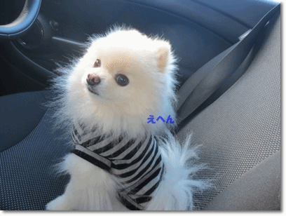 b0167519_2285955.gif