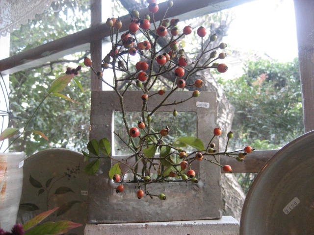 f0139520_2056969.jpg