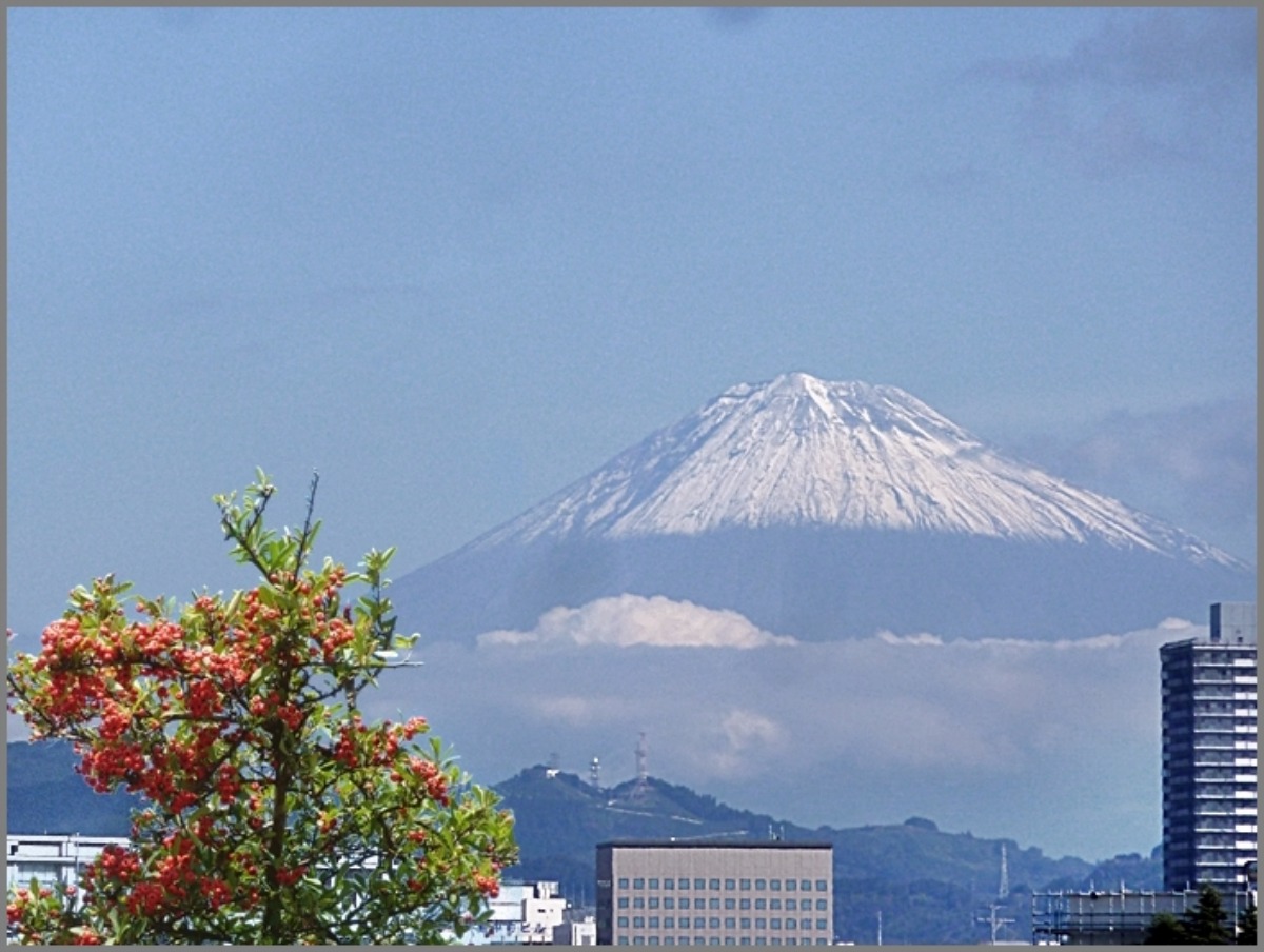 e0033229_20365487.jpg