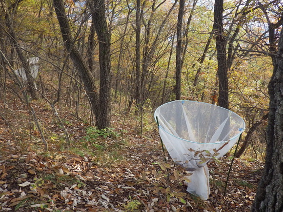 f0118332_21215935.jpg