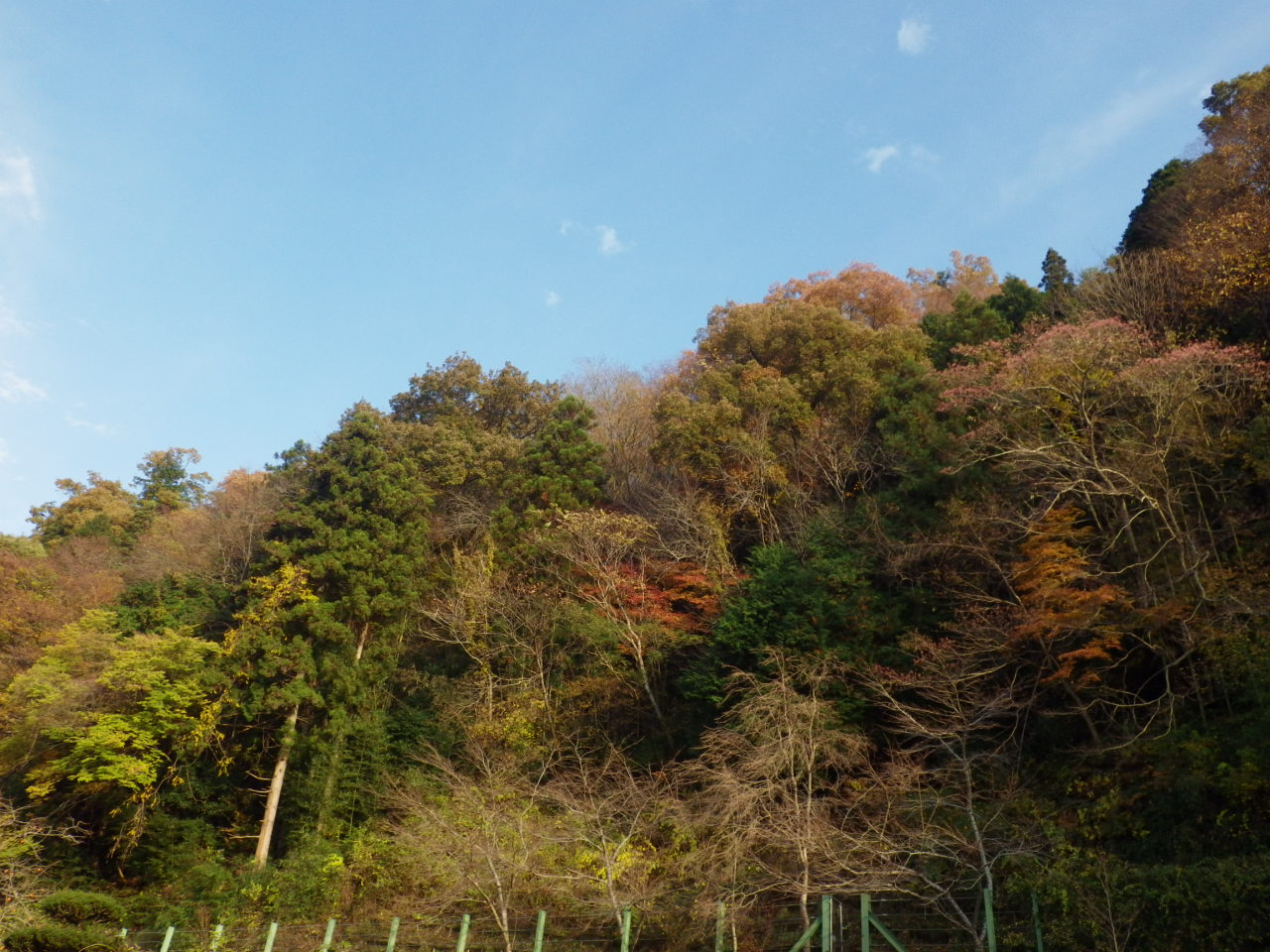 c0300035_16425325.jpg