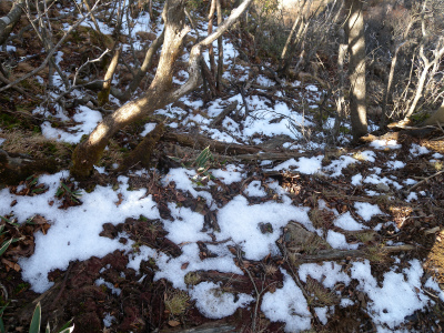 e0272335_20514576.jpg