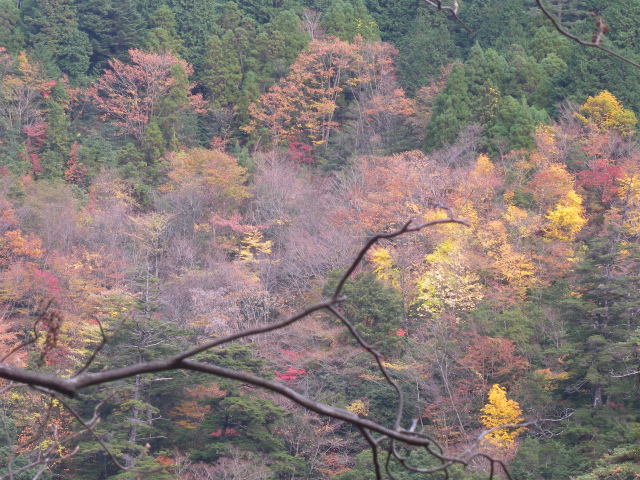 e0272335_20545694.jpg
