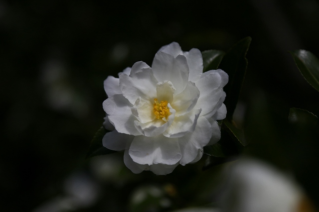 a0242438_19513666.jpg