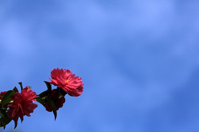 a0242438_19514651.jpg