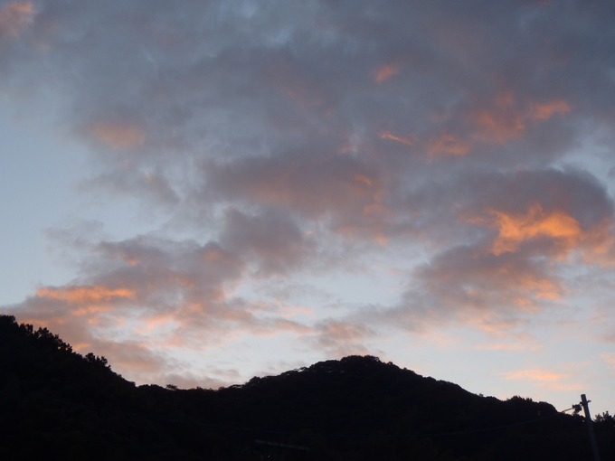a0054240_0561774.jpg