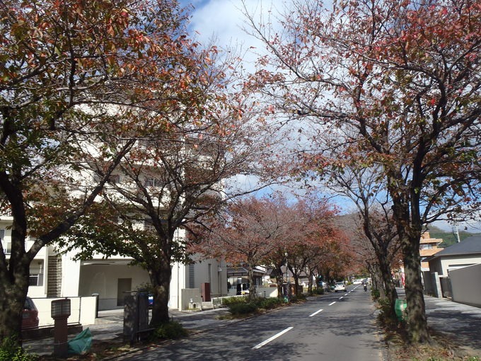 a0054240_122284.jpg