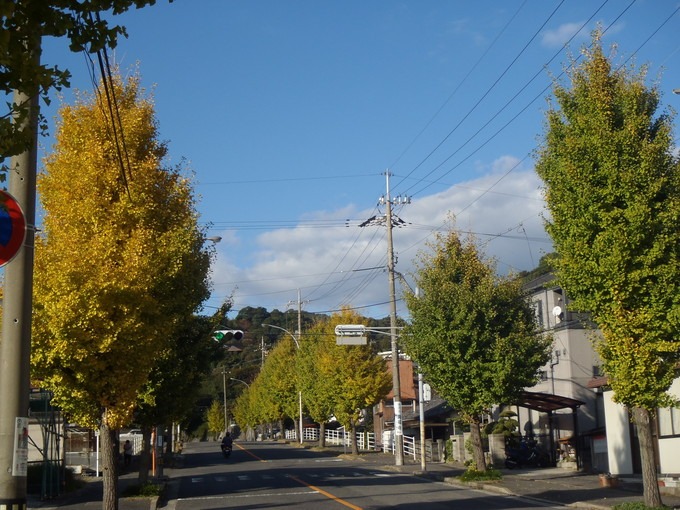 a0054240_1242870.jpg