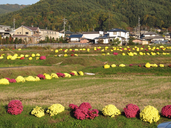 f0151044_2252494.jpg