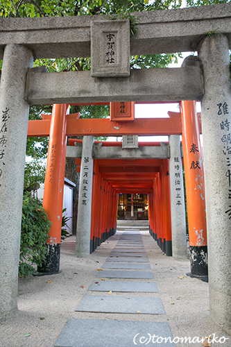 c0024345_11422177.jpg