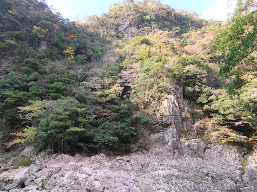 f0213347_21591037.jpg