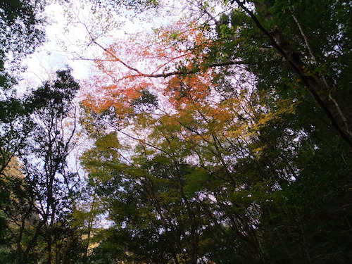 f0213347_21595919.jpg