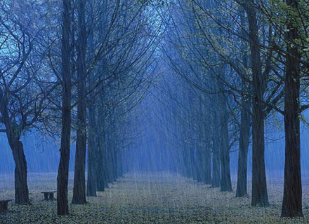 b0133752_2236015.gif