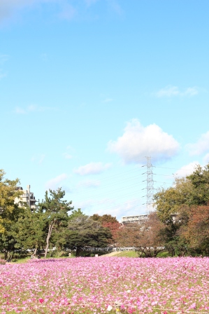 a0256354_20102247.jpg