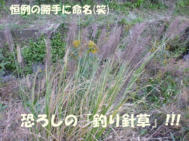e0176159_2144068.jpg