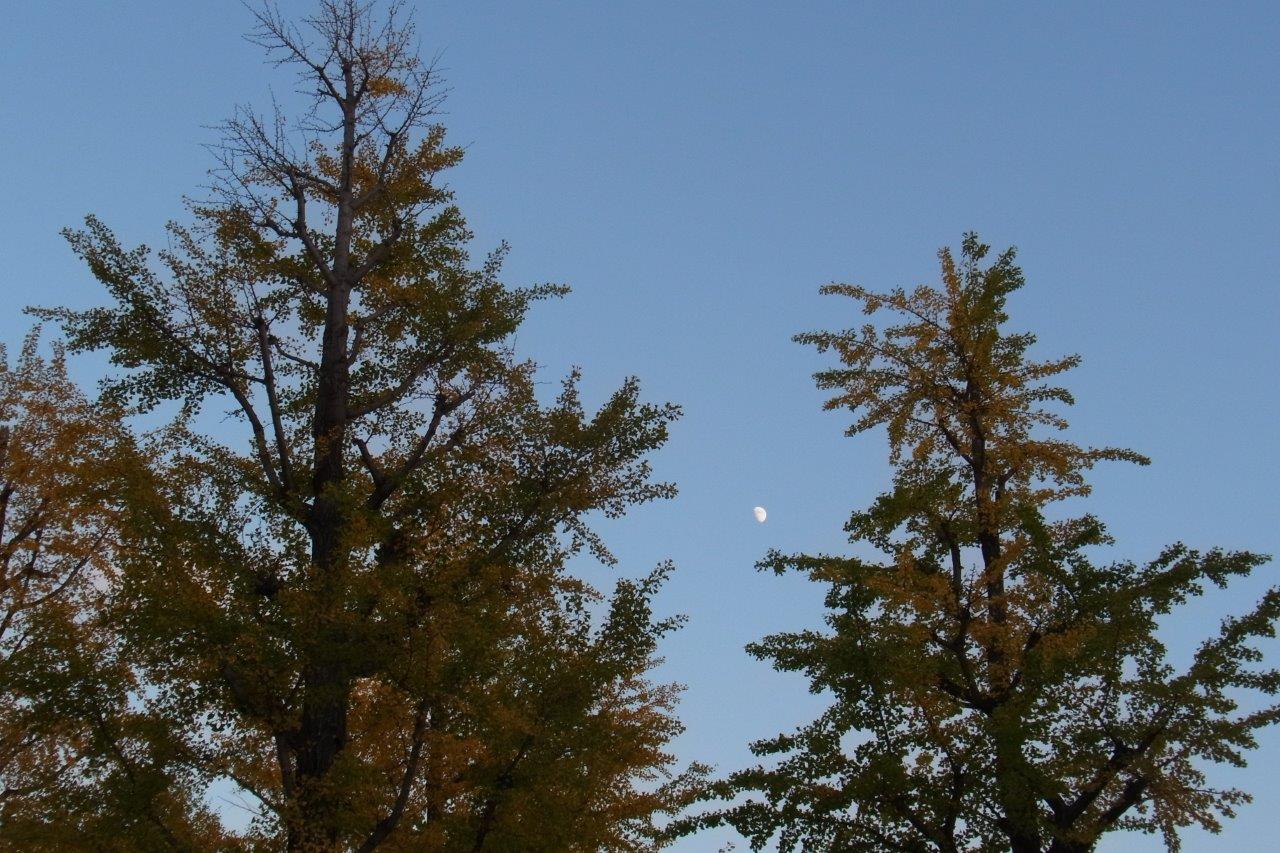a0123465_0593756.jpg
