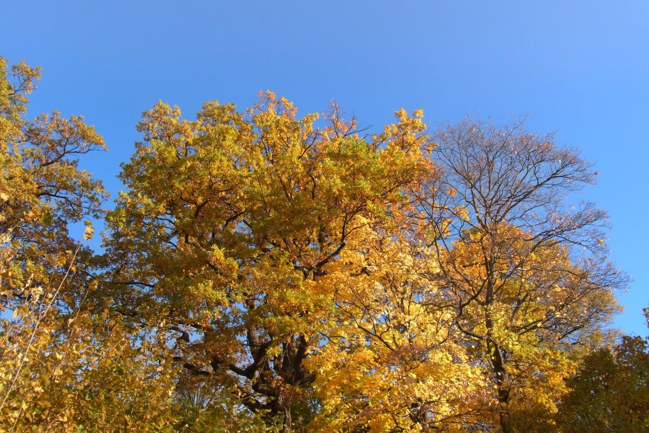 a0123465_115149.jpg