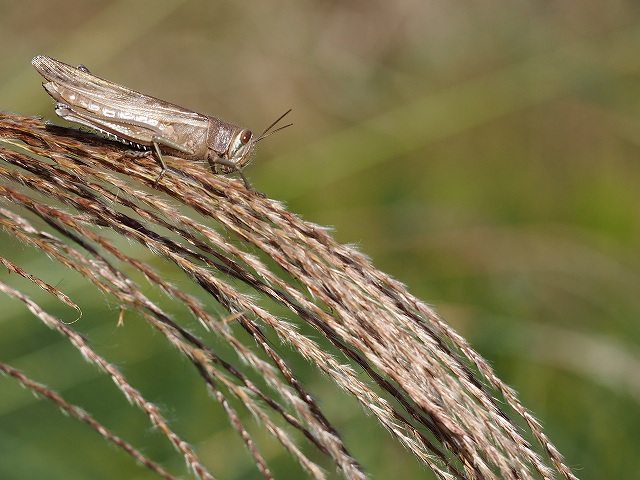 d0128465_8561119.jpg