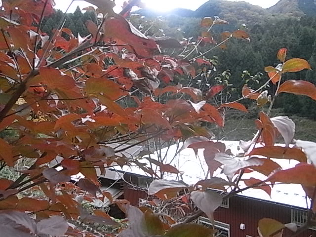 a0146070_5515341.jpg