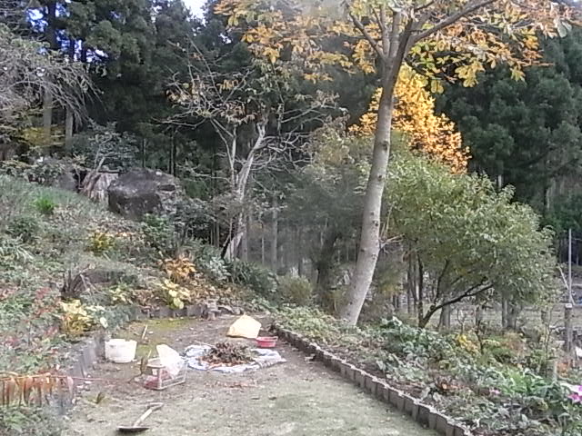 a0146070_5561145.jpg