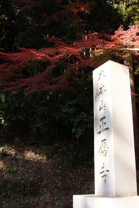 c0153672_21454956.jpg