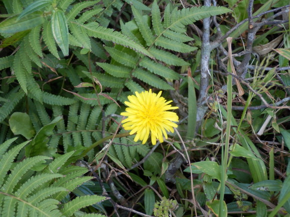 e0292172_20411612.jpg
