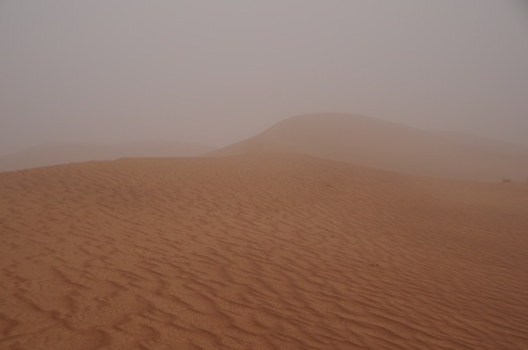 e0066474_16352271.jpg
