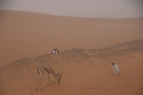 e0066474_16451186.jpg