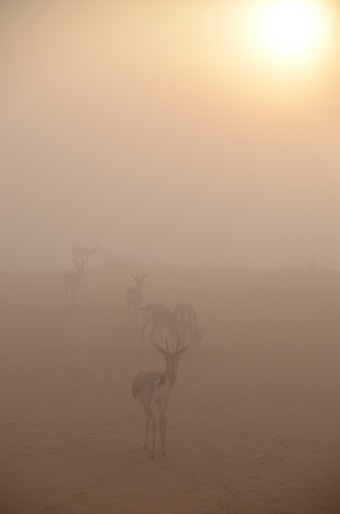 e0066474_411739.jpg