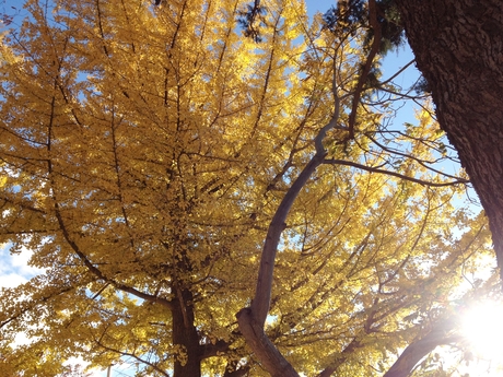 c0283778_18572167.jpg