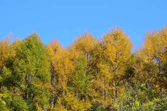 c0123890_20211213.jpg