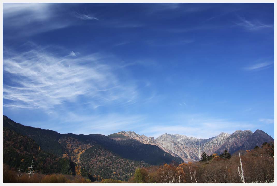 e0207391_1846167.jpg