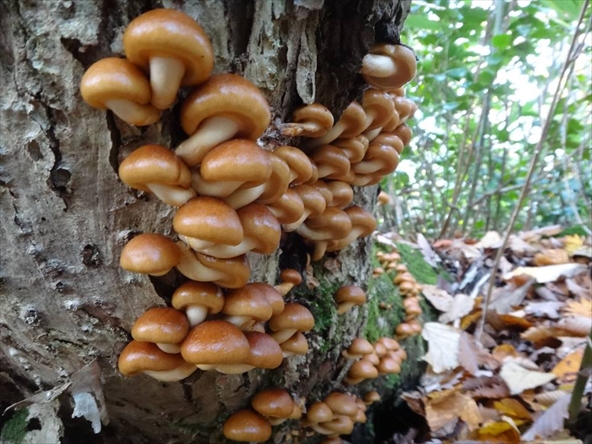 f0125091_23152036.jpg