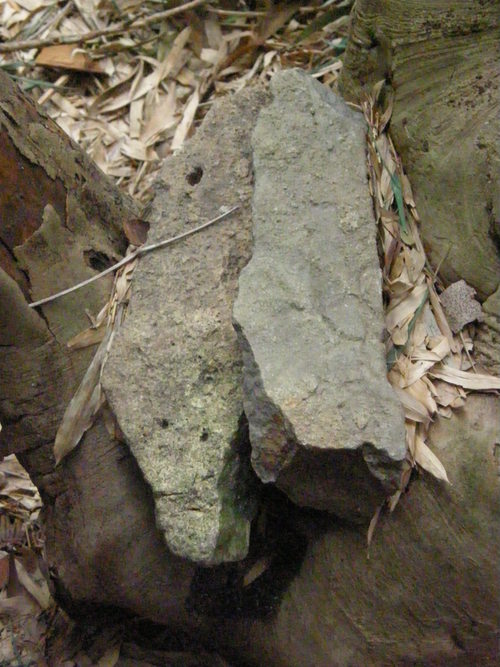 e0017396_22235856.jpg
