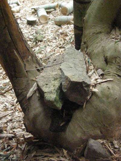 e0017396_22272522.jpg