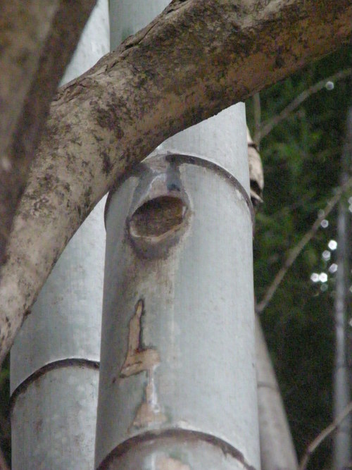 e0017396_22542413.jpg