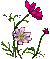 d0005397_12175390.gif