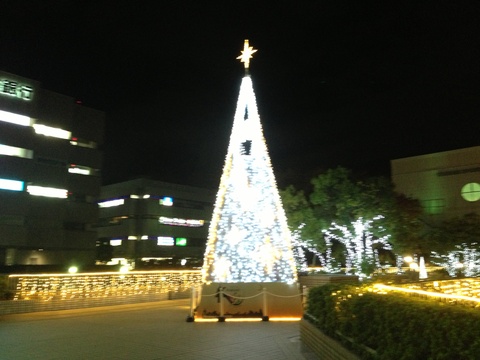 f0201297_2223548.jpg