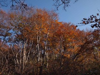 c0187298_014956.jpg