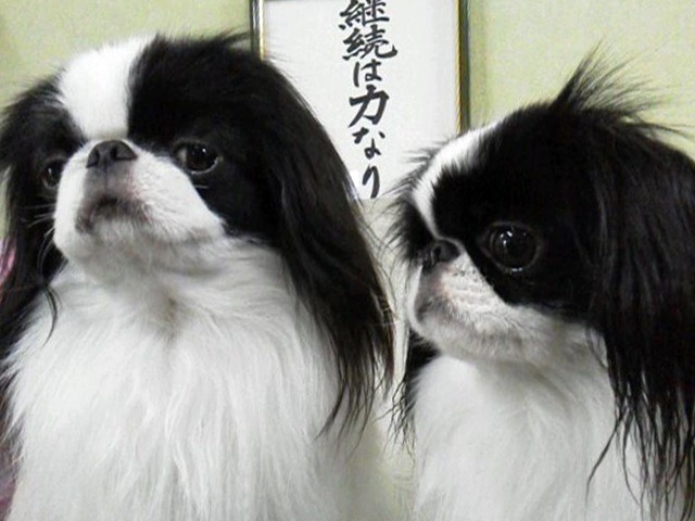 a0155999_07381088.jpg
