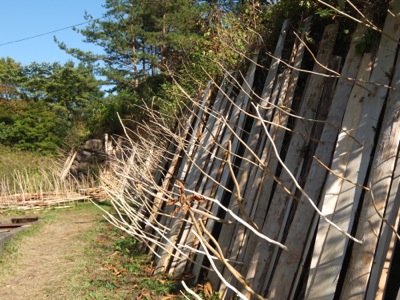a0218499_1711598.jpg