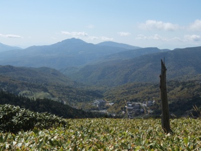 a0218499_17274552.jpg
