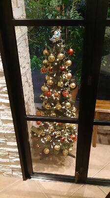 a0216805_1749836.jpg
