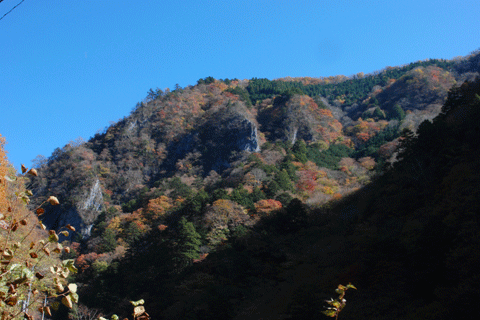 c0051105_0314985.gif
