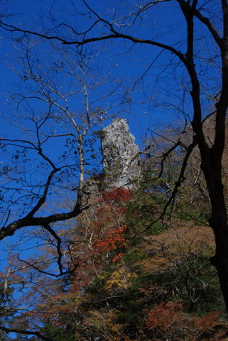 c0051105_032261.gif