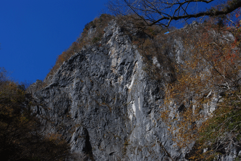 c0051105_14241664.gif